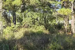 000 Of Hwy 6 Road N, Vance, SC 29163 - Photo 1