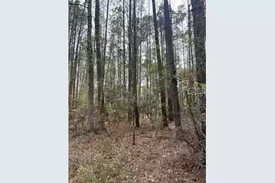 0 Palm Street, Reevesville, SC 29471 - Photo 3