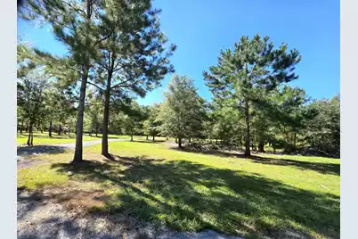 368 Whites Avenue, Cottageville, SC 29435 - Photo 27