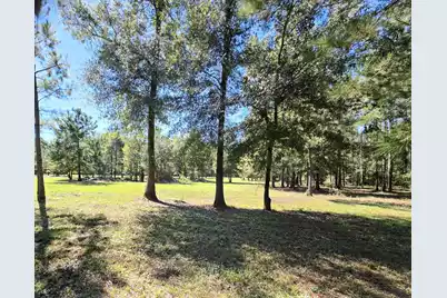 368 Whites Avenue, Cottageville, SC 29435 - Photo 19
