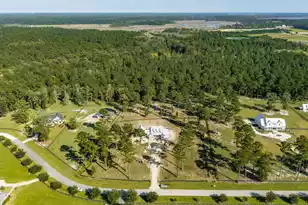 150 Bradley Pasture Wy, Ravenel, SC 29470 - Photo 55