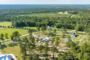 150 Bradley Pasture Wy, Ravenel, SC 29470 - Photo 63