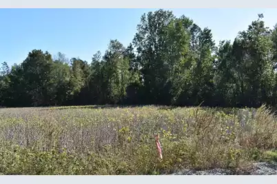 0000 Murdock Road, Manning, SC 29102 - Photo 1