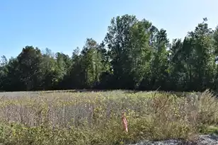 0000 Murdock Rd, Manning, SC 29102 - Photo 1