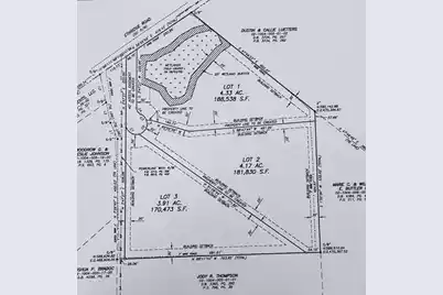 000 Etheridge Dr., Andrews, SC 29510 - Photo 1