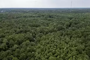 00 Society Rd, McClellanville, SC 29458 - Photo 1
