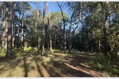 4274 River Road, Johns Island, SC 29455 - Photo 5