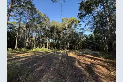 4274 River Road, Johns Island, SC 29455 - Photo 3