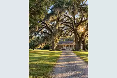 7817 Little Britton Tract B, Meggett, SC 29449 - Photo 1
