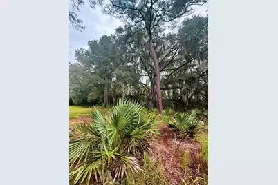 7721 Toogoodoo Road, Hollywood, SC 29449 - Photo 13