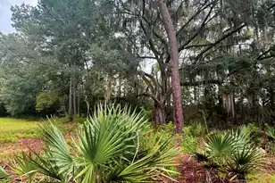 7721 Toogoodoo Rd, Hollywood, SC 29449 - Photo 13