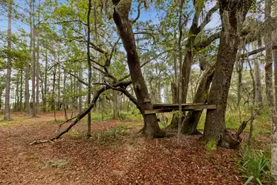 7721 Toogoodoo Road, Hollywood, SC 29449 - Photo 11