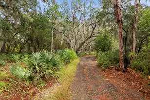 7721 Toogoodoo Rd, Hollywood, SC 29449 - Photo 5