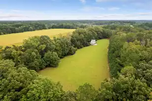 7721 Toogoodoo Rd, Hollywood, SC 29449 - Photo 3