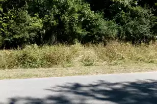 Lot 4 Manor Rd, Hollywood, SC 29449 - Photo 1