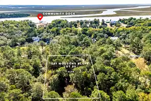 527 Mouzons Bluff, McClellanville, SC 29458 - Photo 1