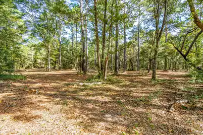 527 Mouzons Bluff, McClellanville, SC 29458 - Photo 5