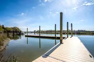 401 Creek Landing St, Daniel Island, SC 29492 - Photo 81
