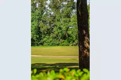 401 Creek Landing Street, Daniel Island, SC 29492 - Photo 29