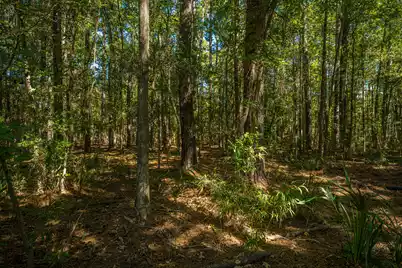 3320 Cedar Creek Court, Mount Pleasant, SC 29466 - Photo 23