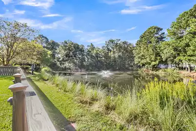 341 Jardinere Walk, Mount Pleasant, SC 29464 - Photo 3
