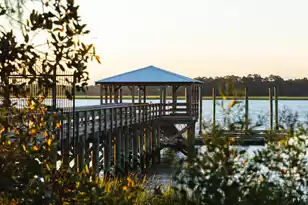 115 Etta Wy, Daniel Island, SC 29492 - Photo 23