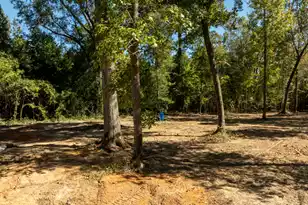 251 Pole Cat Wy, Saint Stephen, SC 29479 - Photo 3