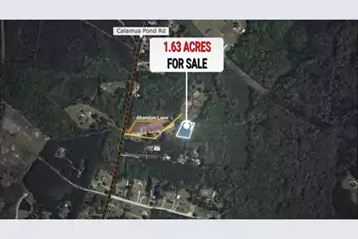 0 Abandon Lane, Goose Creek, SC 29445 - Photo 7
