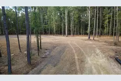 0 Gum Branch Road, Saint George, SC 29477 - Photo 1