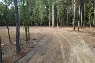 0 Gum Branch Rd, Saint George, SC 29477 - Photo 1