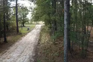 0 Sweetgum Road #Lot C, Saint George, SC 29477 - Photo 1