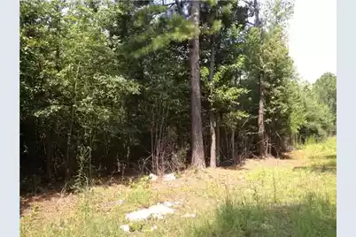 0 Red Hill Road, Ridgeville, SC 29472 - Photo 1