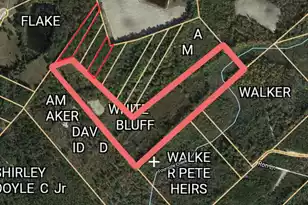 0 Pandanus Rd, Orangeburg, SC 29115 - Photo 1