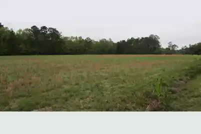 0 Benjamin Road, Johns Island, SC 29455 - Photo 1