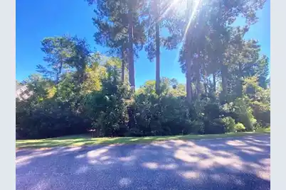 0 Chapel Creek Drive, Santee, SC 29142 - Photo 1