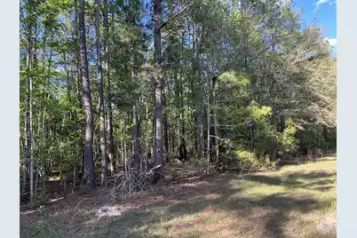 0 Rentz Drive, Walterboro, SC 29488 - Photo 1