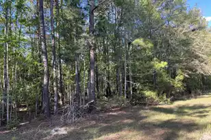 0 Rentz Dr, Walterboro, SC 29488 - Photo 1