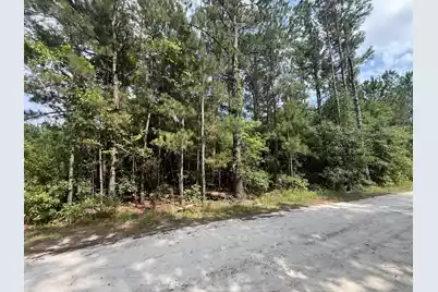 398 Pond Town Road, Hampton, SC 29924 - Photo 1