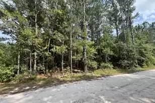 398 Pond Town Rd, Hampton, SC 29924 - Photo 1