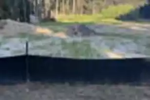 1036 Victoria Rd, Wando, SC 29492 - Photo 1