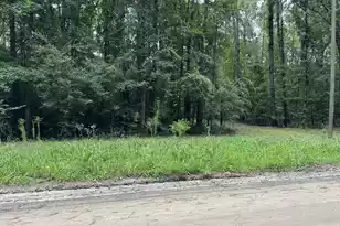 0 Michelle Ln, Johns Island, SC 29455 - Photo 1
