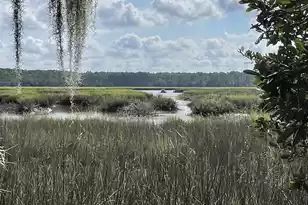 10 Huspah Ct N, Seabrook, SC 29940 - Photo 1