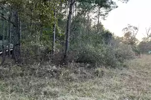 0 Smoak Rd, Walterboro, SC 29488 - Photo 1