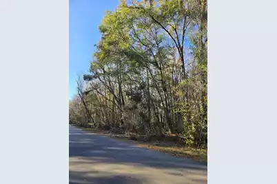 0 Gator Walk, Ridgeville, SC 29472 - Photo 1