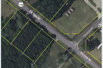 0 Hwy 176, Holly Hill, SC 29059 - Photo 1