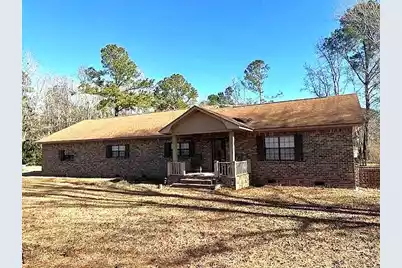 303 White House Pond Road, Harleyville, SC 29448 - Photo 1