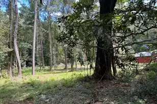 6224 Martin St, Ravenel, SC 29470 - Photo 1