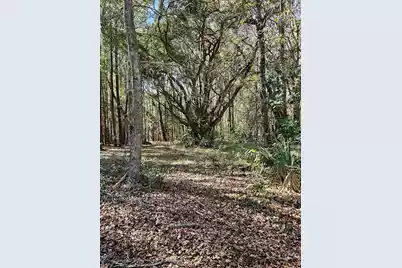1667 Blues Lane, Edisto Island, SC 29438 - Photo 1