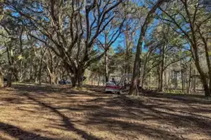 254 Deer Trak Dr, Edisto Island, SC 29438 - Photo 1