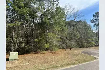 226 Spotted Owl Lane, Moncks Corner, SC 29461 - Photo 1